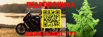 jwh Краснознаменск