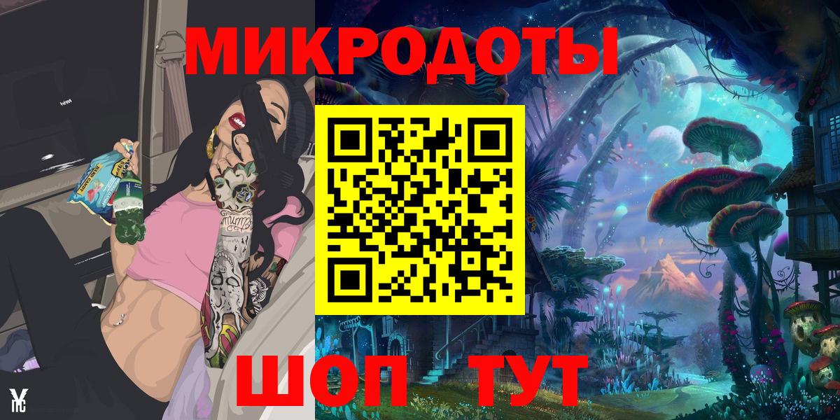 Псилоцибиновые грибы Psilocybe Еманжелинск