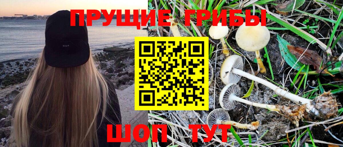 Галлюциногенные грибы Magic Shrooms  купить наркотик  Псилоцибиновые грибы Cubensis  Еманжелинск  Вход с VPN 